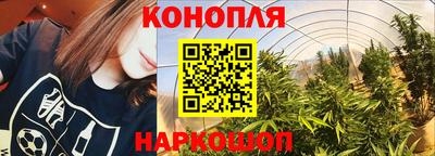 альфа пвп Кингисепп