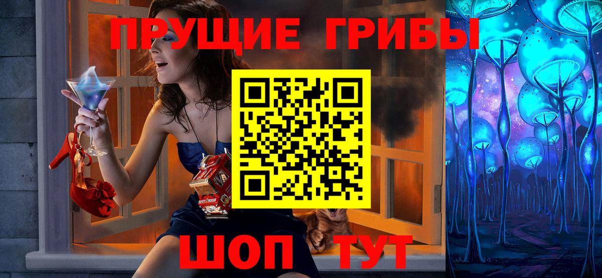 Псилоцибиновые грибы Cubensis Тихвин