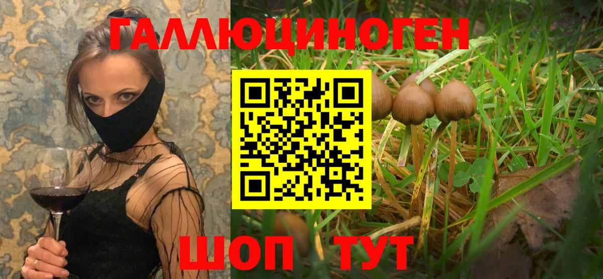 МАРИХУАНА  МЕФ   ГАШИШ  Тихвин  APVP СОЛЬ   Экстази  Где найти наркотики?  Канабис  Вход с VPN 