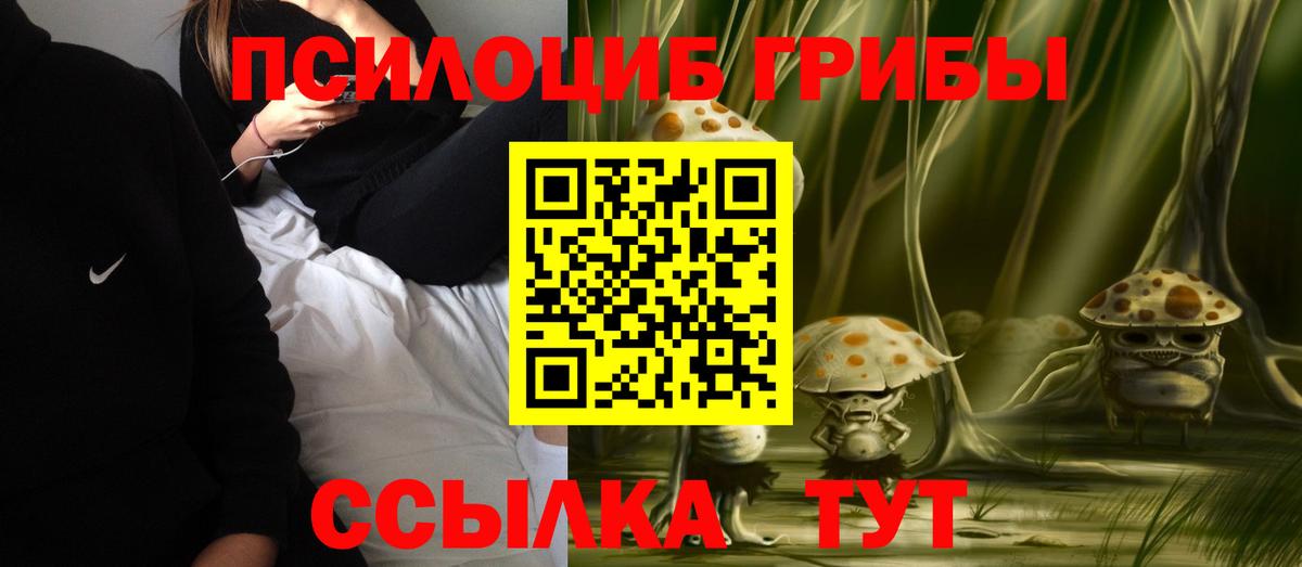 Псилоцибиновые грибы мухоморы  Вход с VPN  Тихвин 
